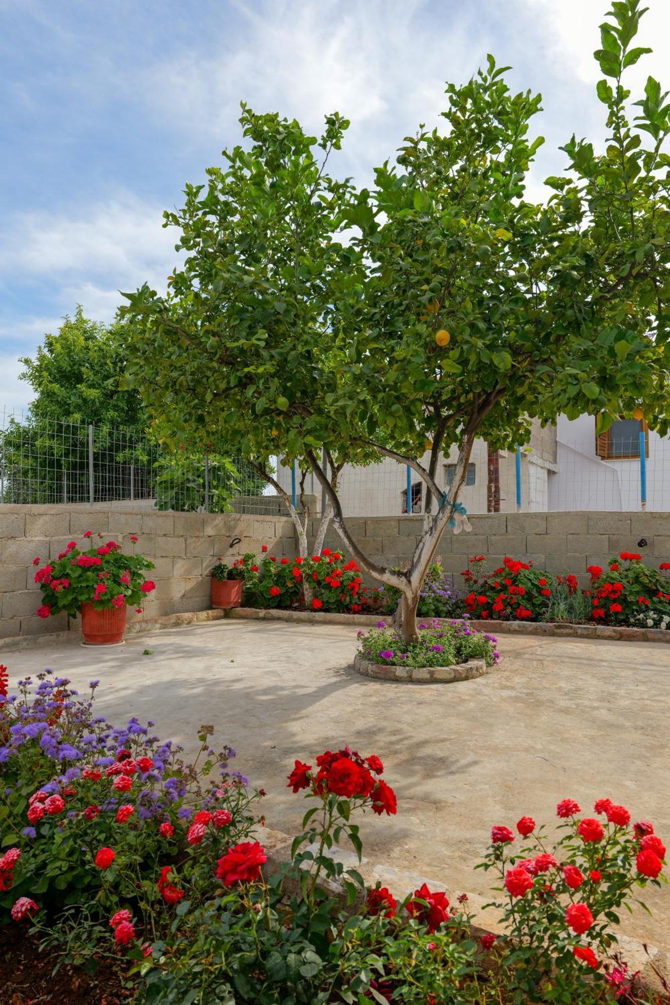 Brahimi Guest House Ksamil Exteriör bild